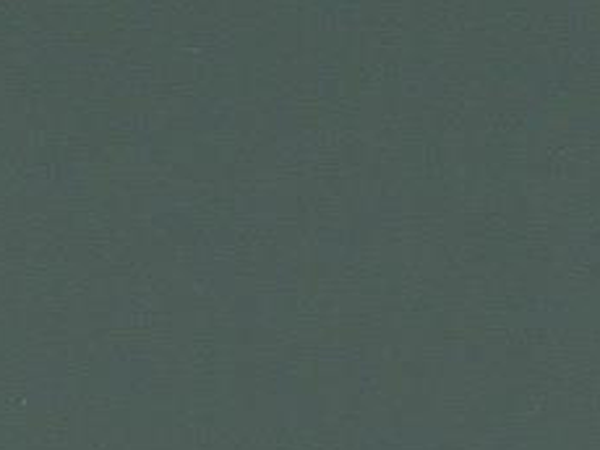 Campione colore Olive Detour